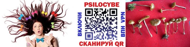 Псилоцибиновые грибы ЛСД  Купить  Заинск 